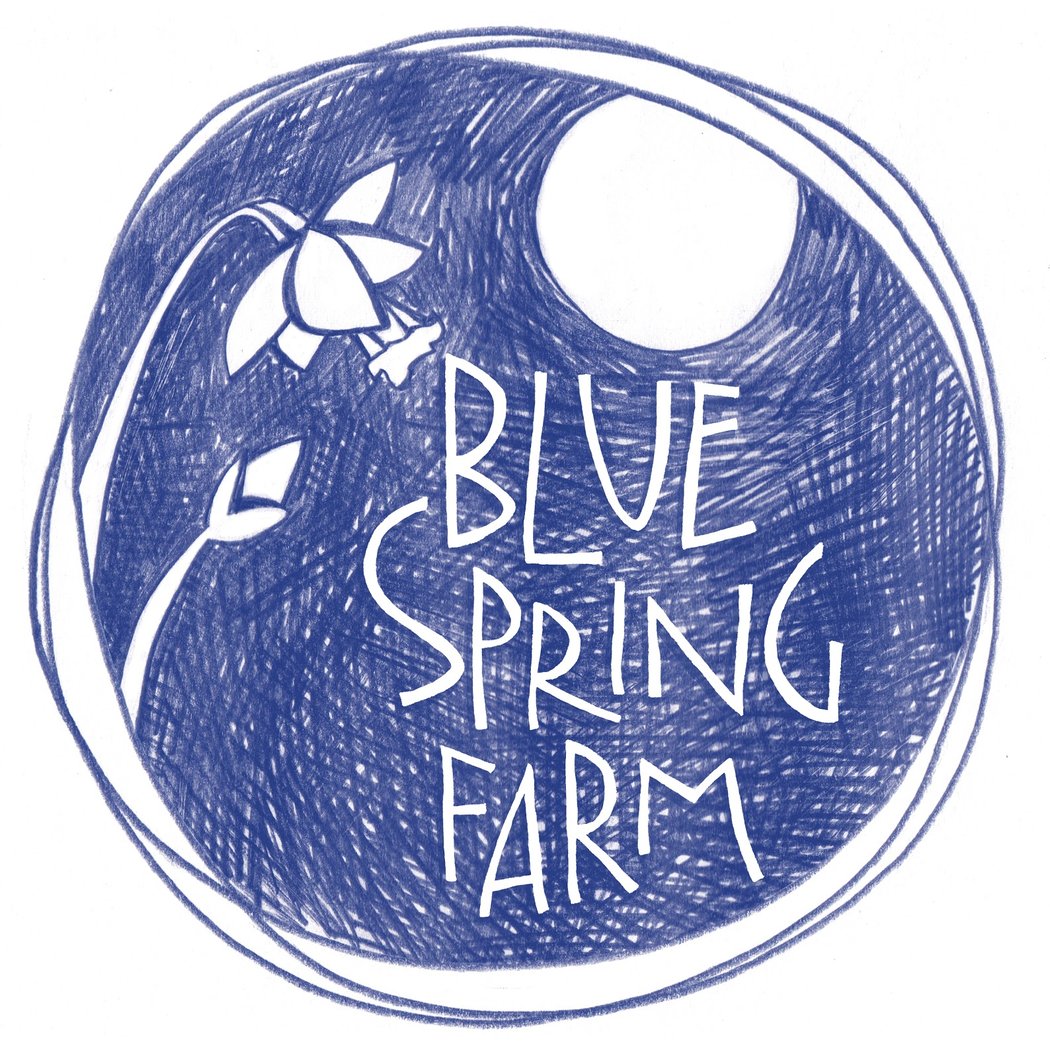 Blue Spring Farm 3