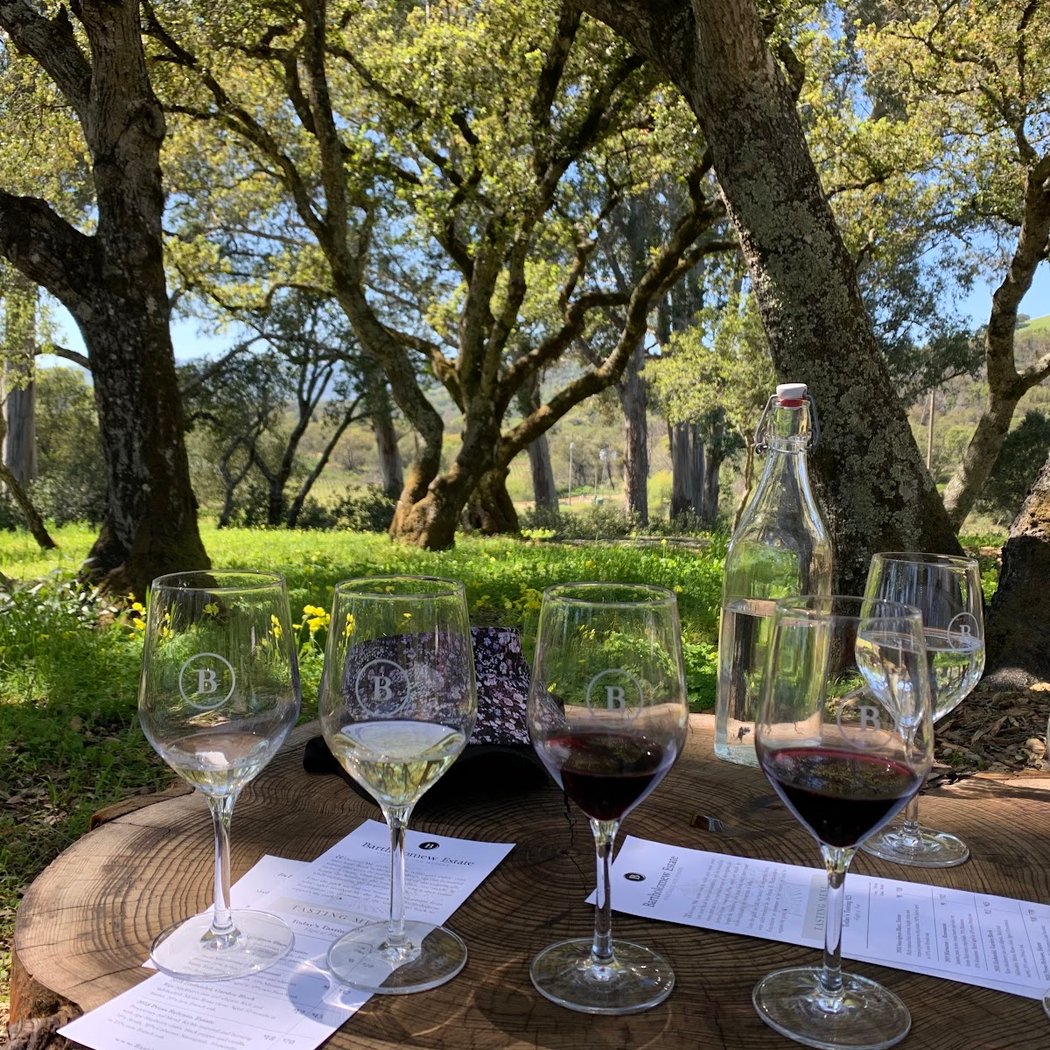 Charcuterie Design & Wine Pairing Class 1