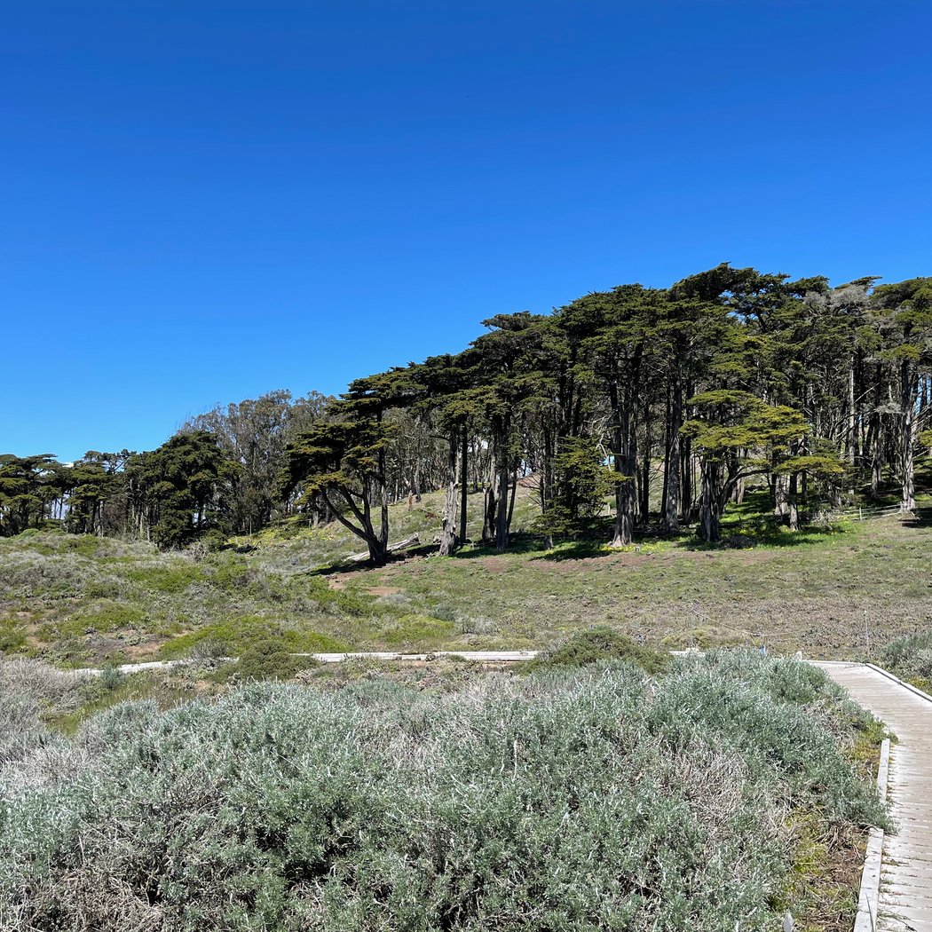 Lobos Creek Valley Trail 4