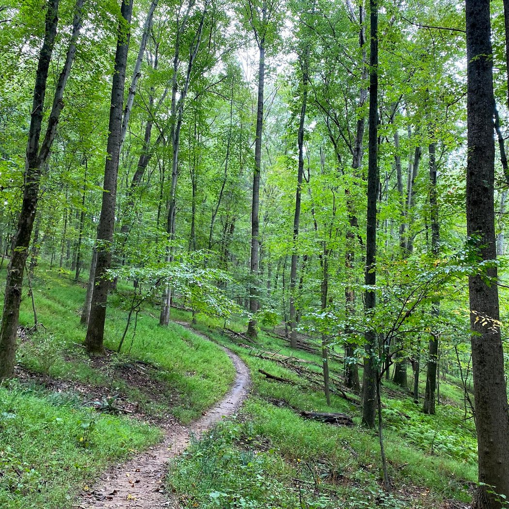 Seneca Creek State Park 5