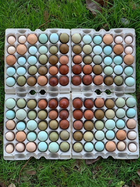 Alchemist Farm 2