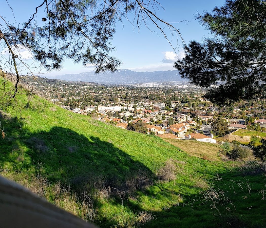 June Hike – Discover 22 Species 3