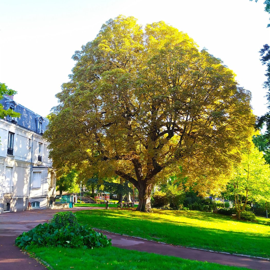 Arcueil Nature 2025 : à la découverte de la nature en ville 1