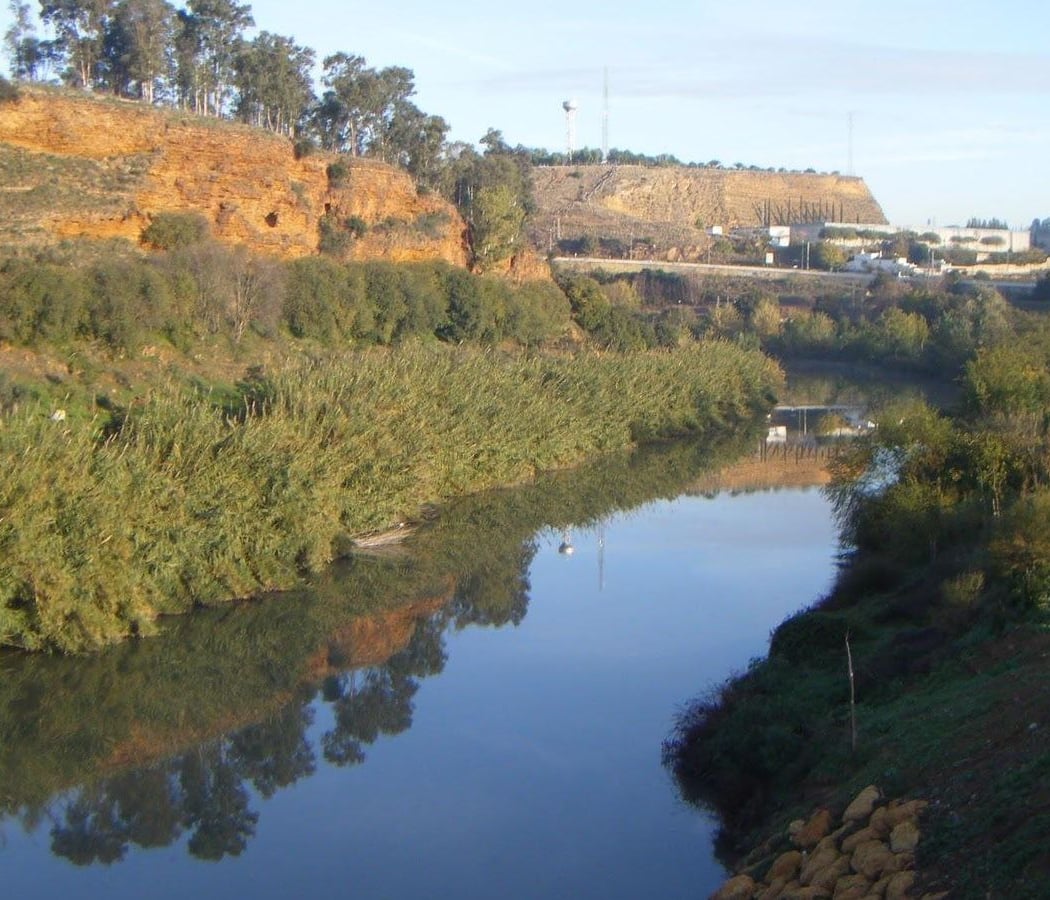 Ribera del rio Guadaira 2