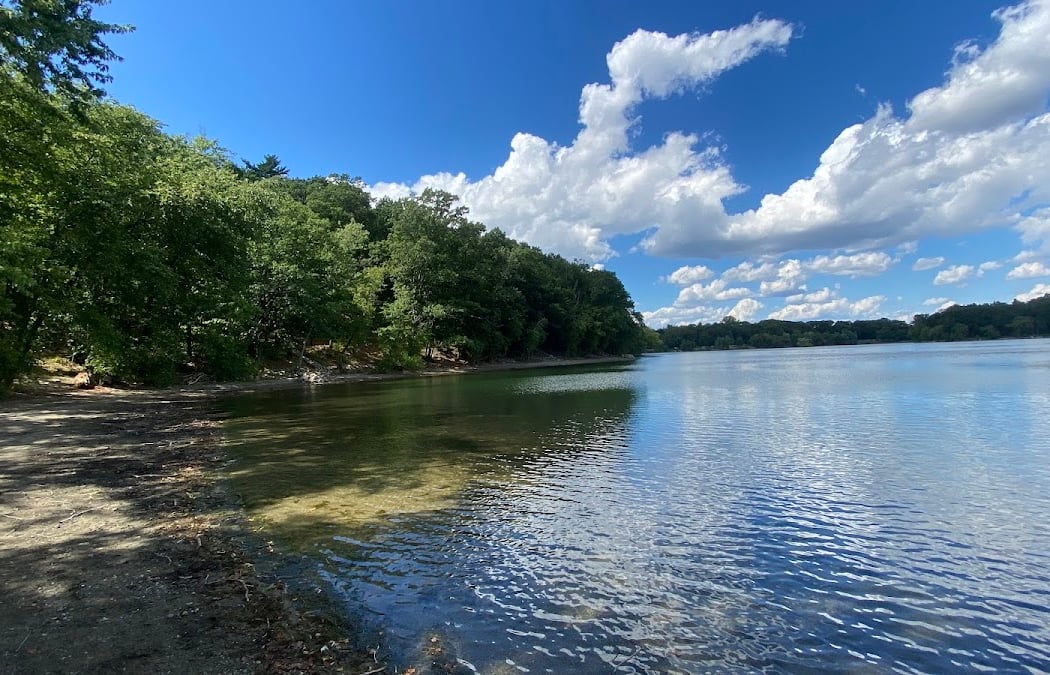 Jamaica Pond 1