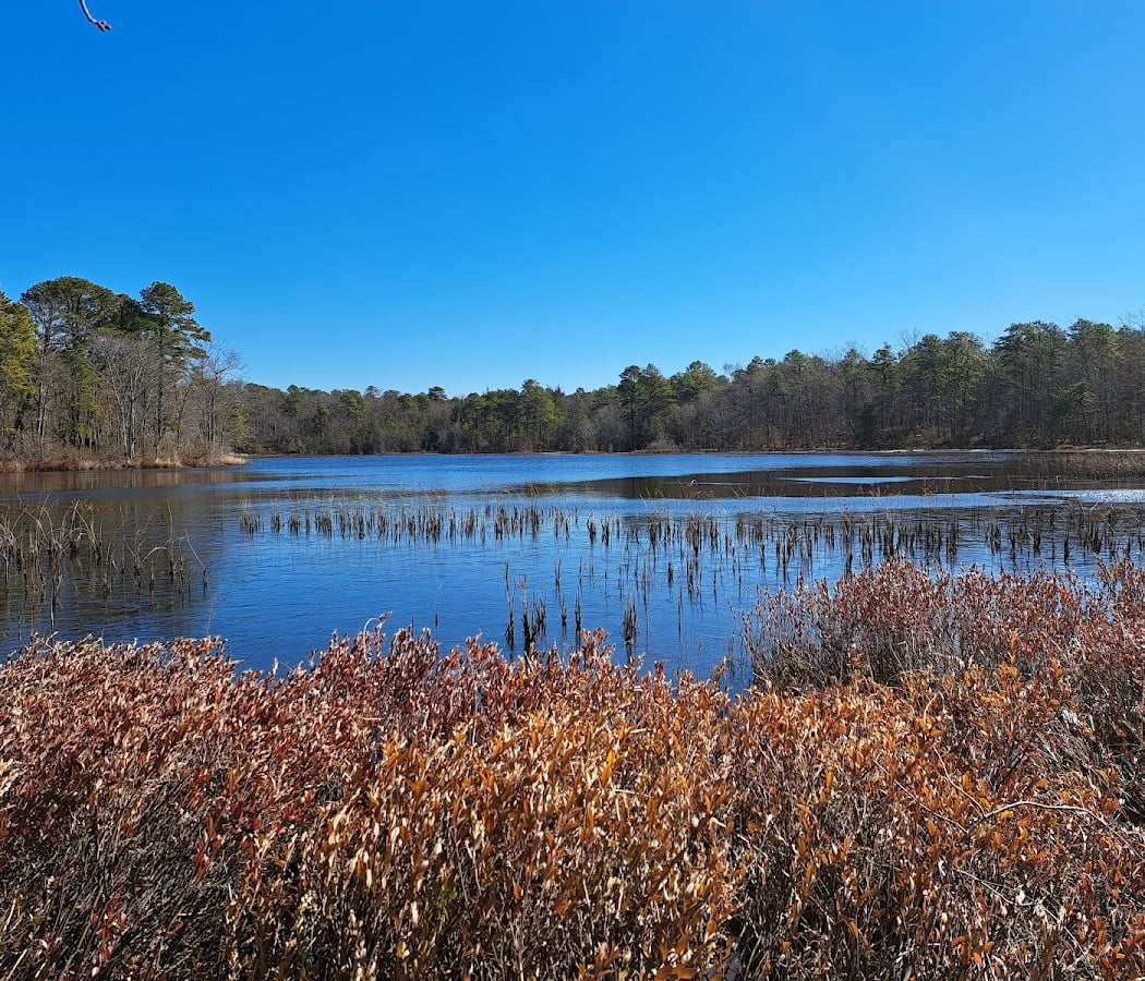 Black Run Preserve 2