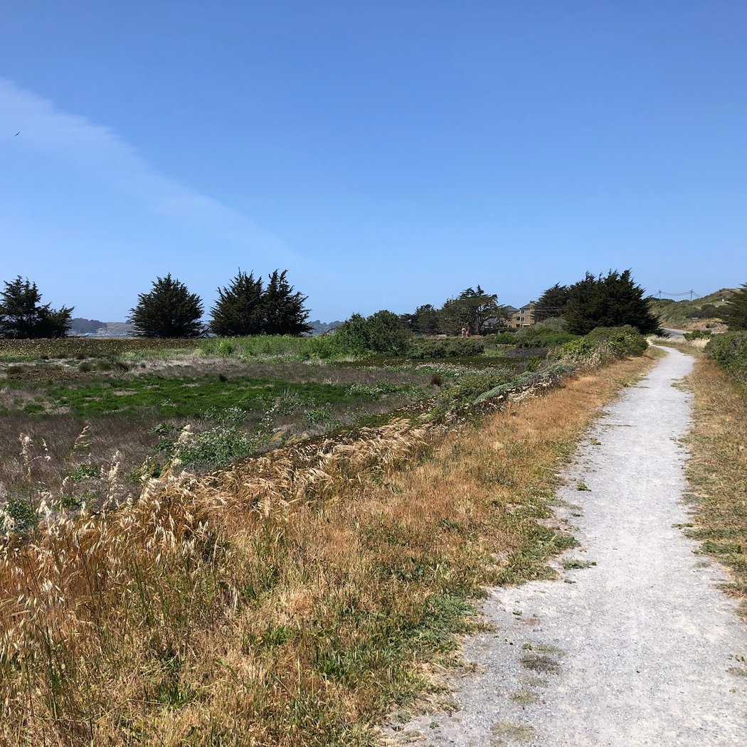 Birdwalk Coastal Access Trail 3