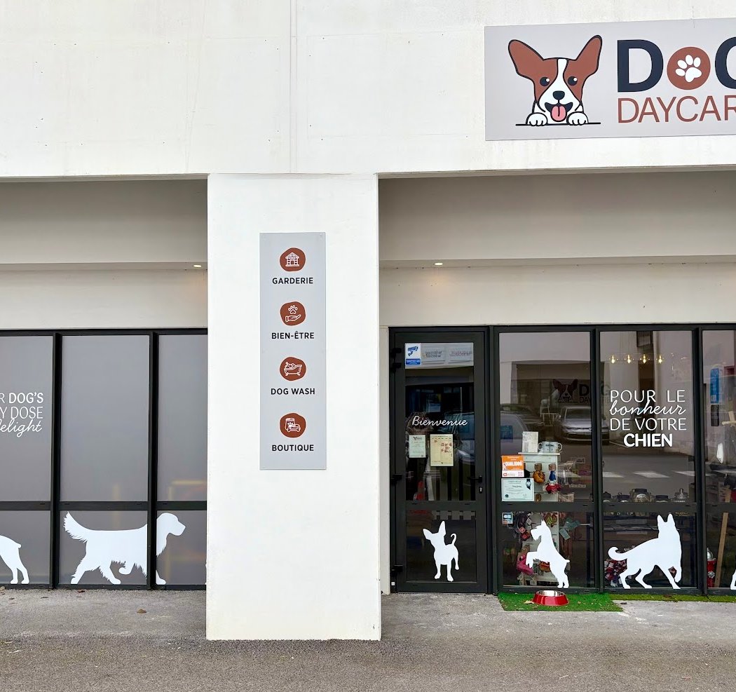 DOG DAYCARE 2