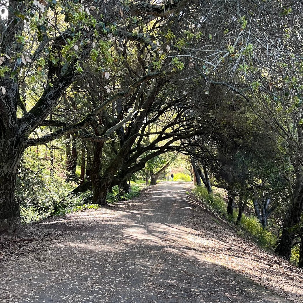 Montclair Railroad Trail 1