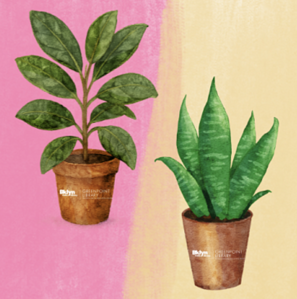 Teen Time: Plant Giveaway for Earth Month 1