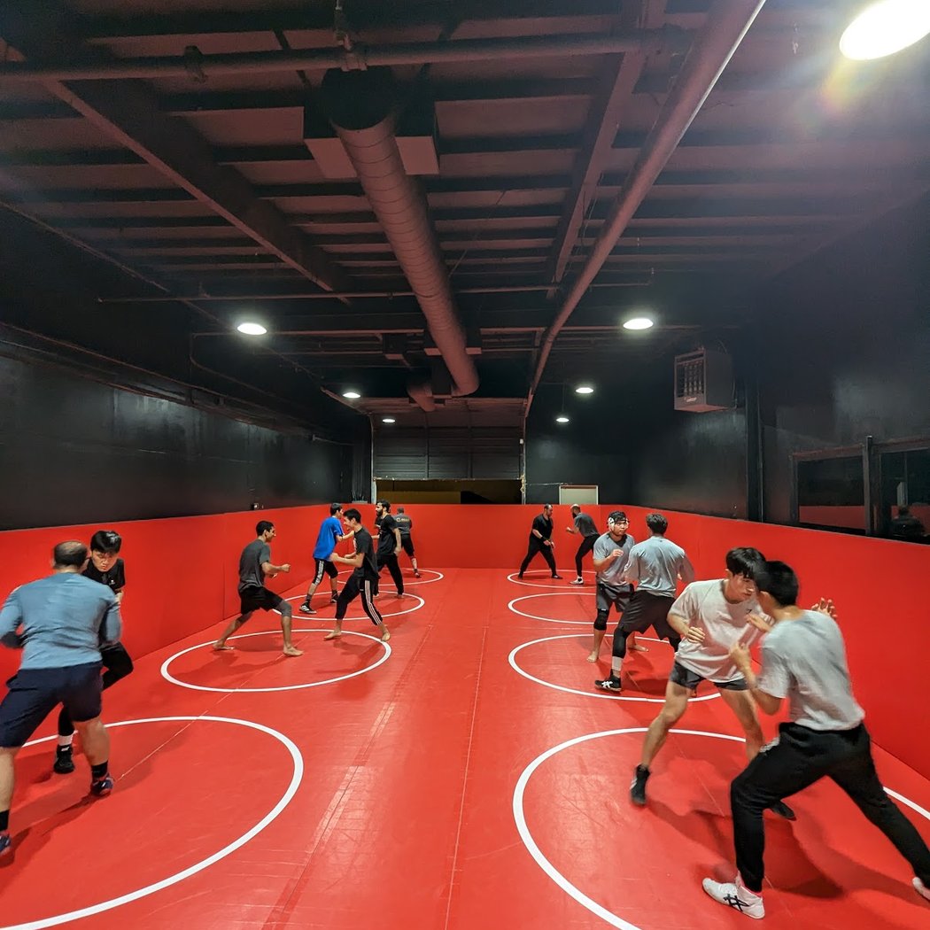 Freestyle Wrestling