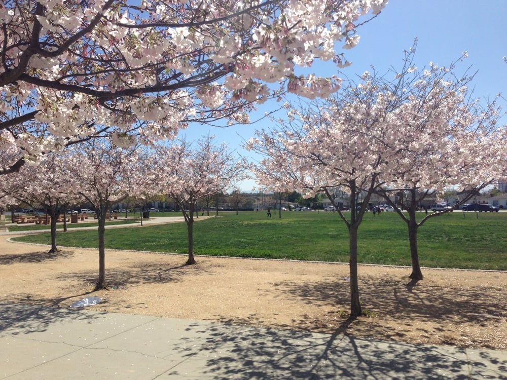 Raymond Bernal Jr. Memorial Park 1