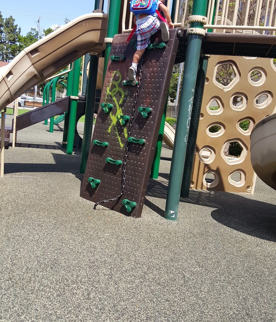 Madden Park 3