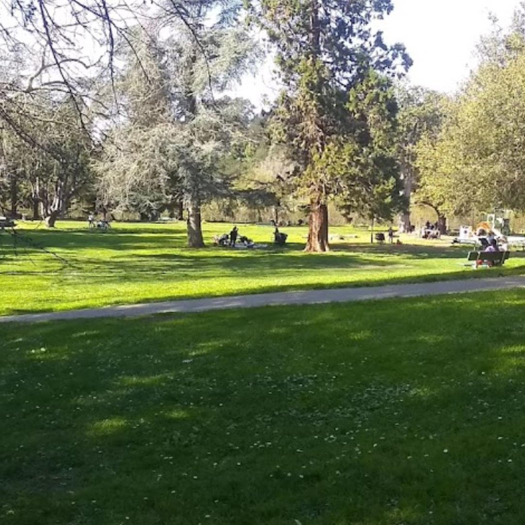 Dimond Park 3