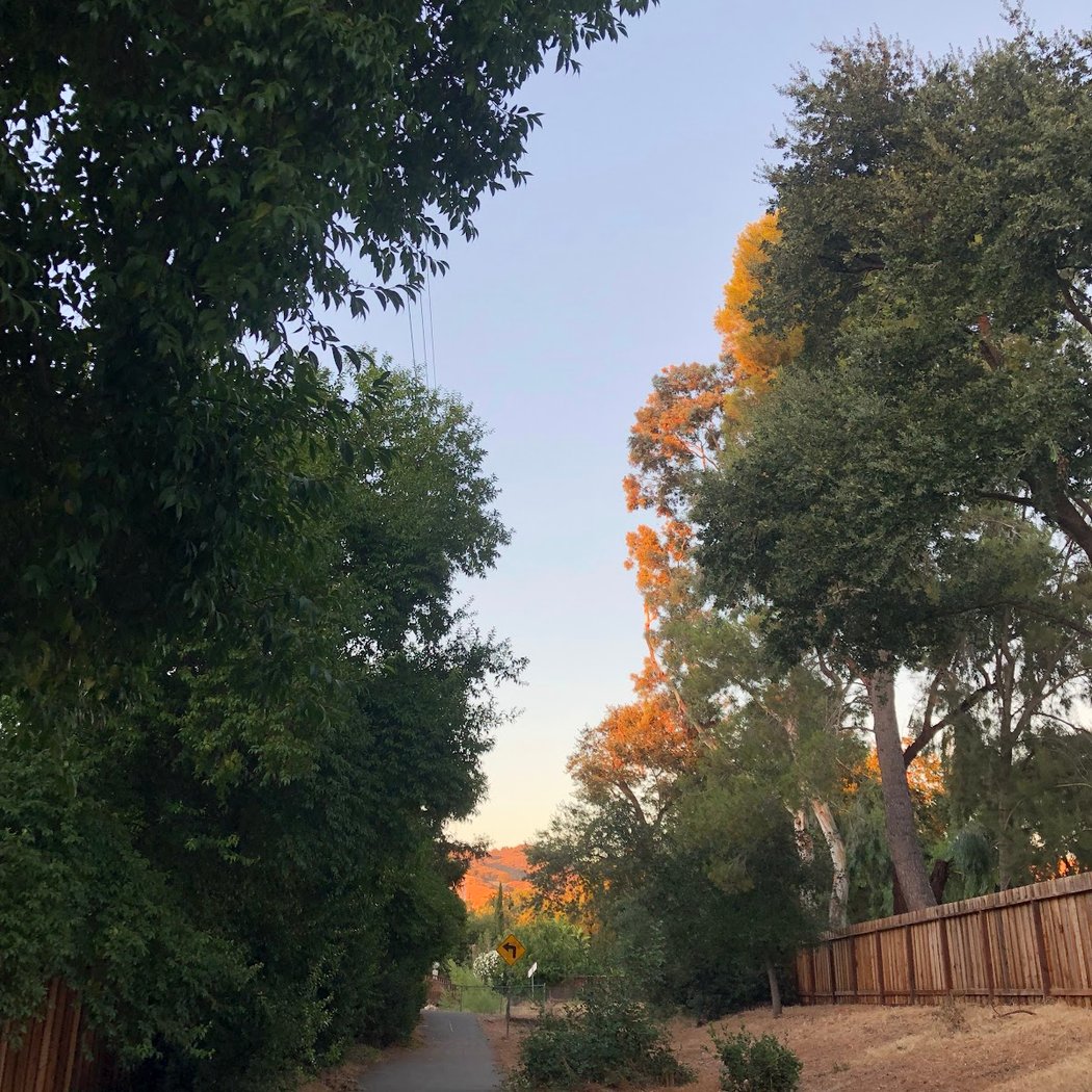 Diablo Shadows Park 1