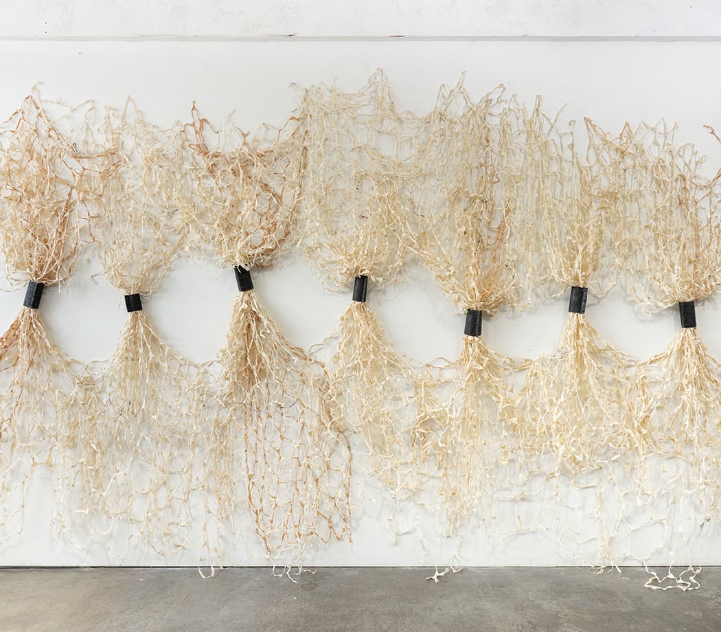 Art History Lecture Series | Pacific Northwest Coast Basketry