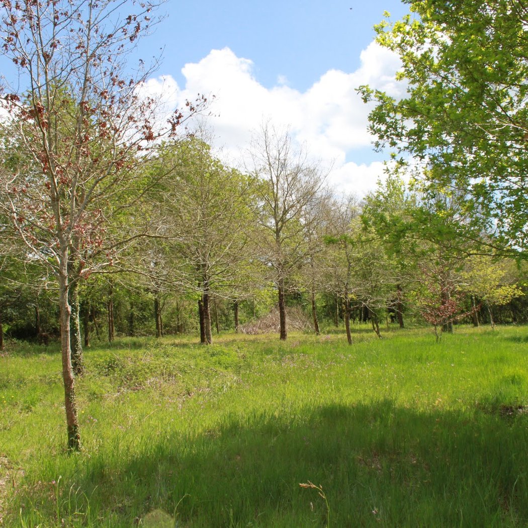 Réserve Naturelle Régionale du Bocage humide des Cailleries 2