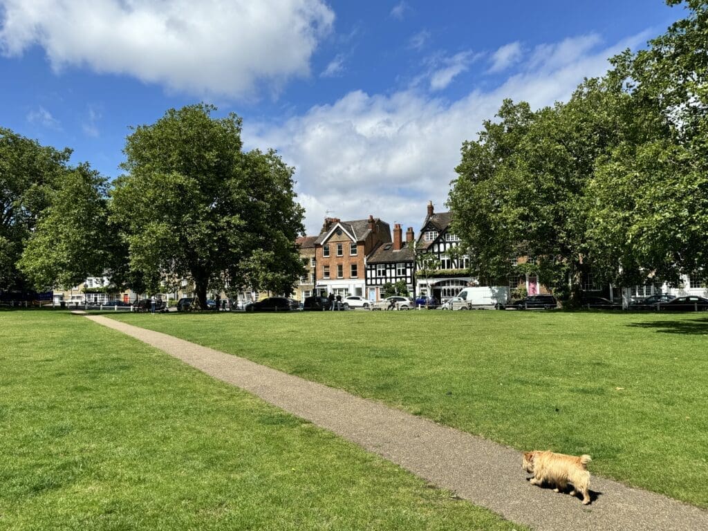 Kew Green 1