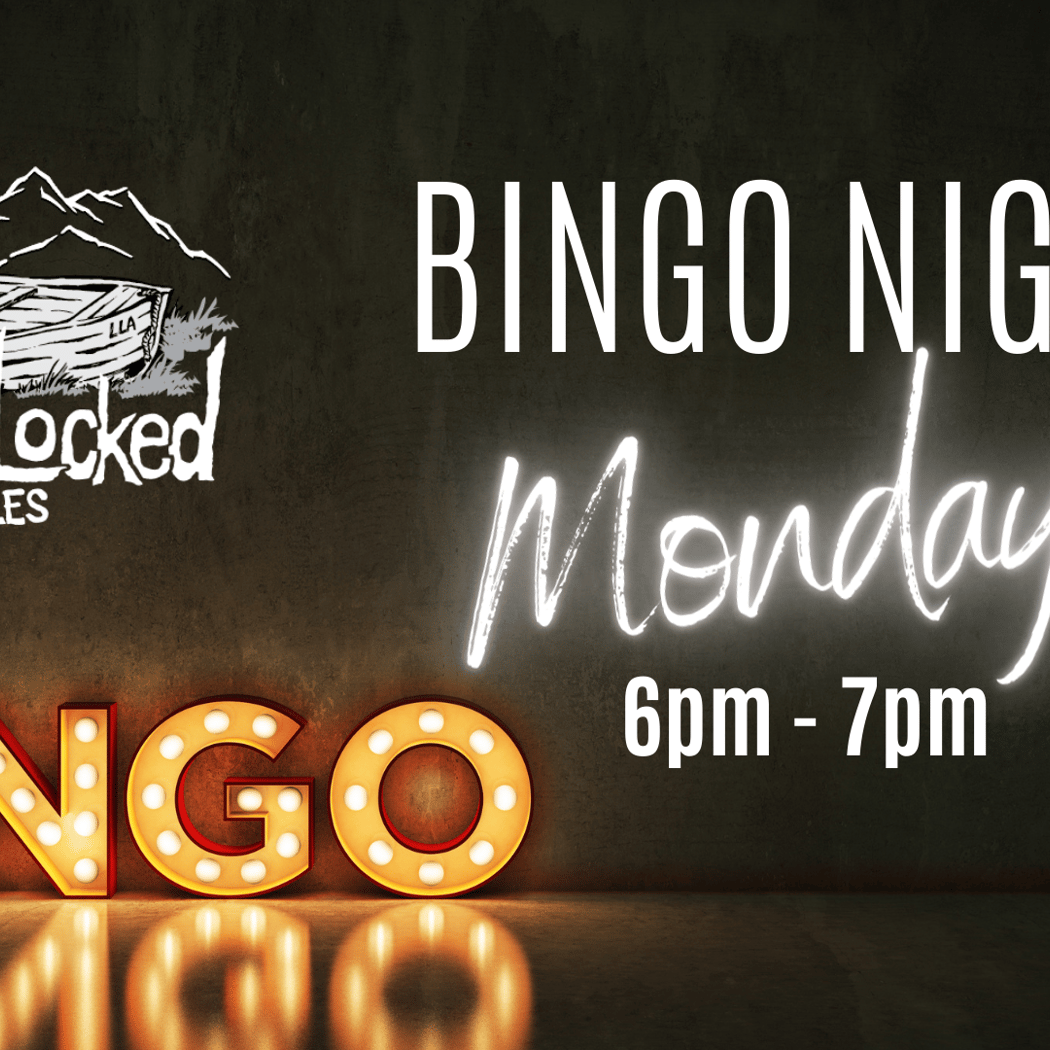 Bingo Night 1