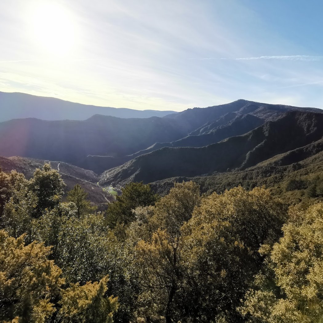 Mont Aigoual 3