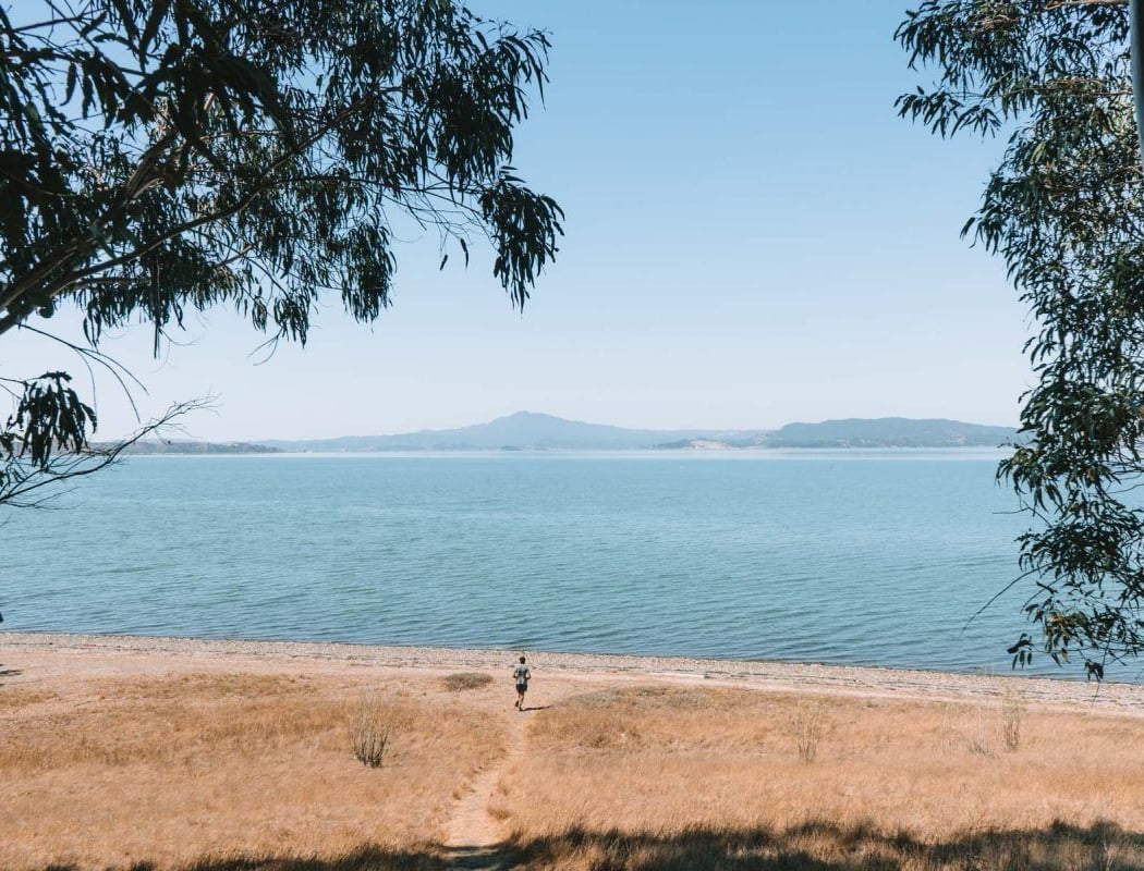 Point Pinole Regional Shoreline 2