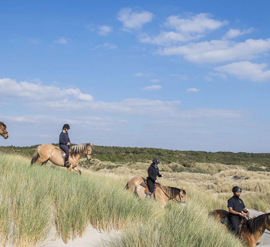 Spaces Equestres Henson 1