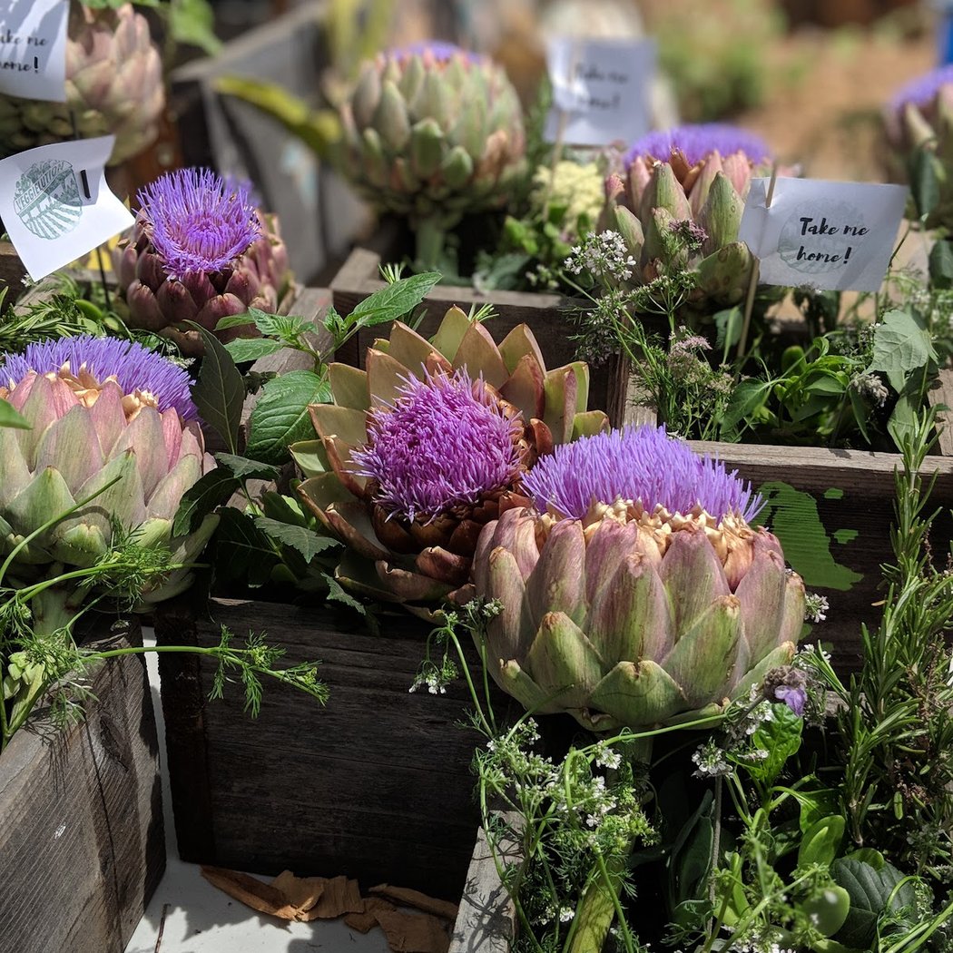 Veggielution Farmstand 1