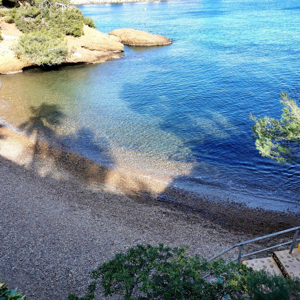 Anse du Petit Mugel 2
