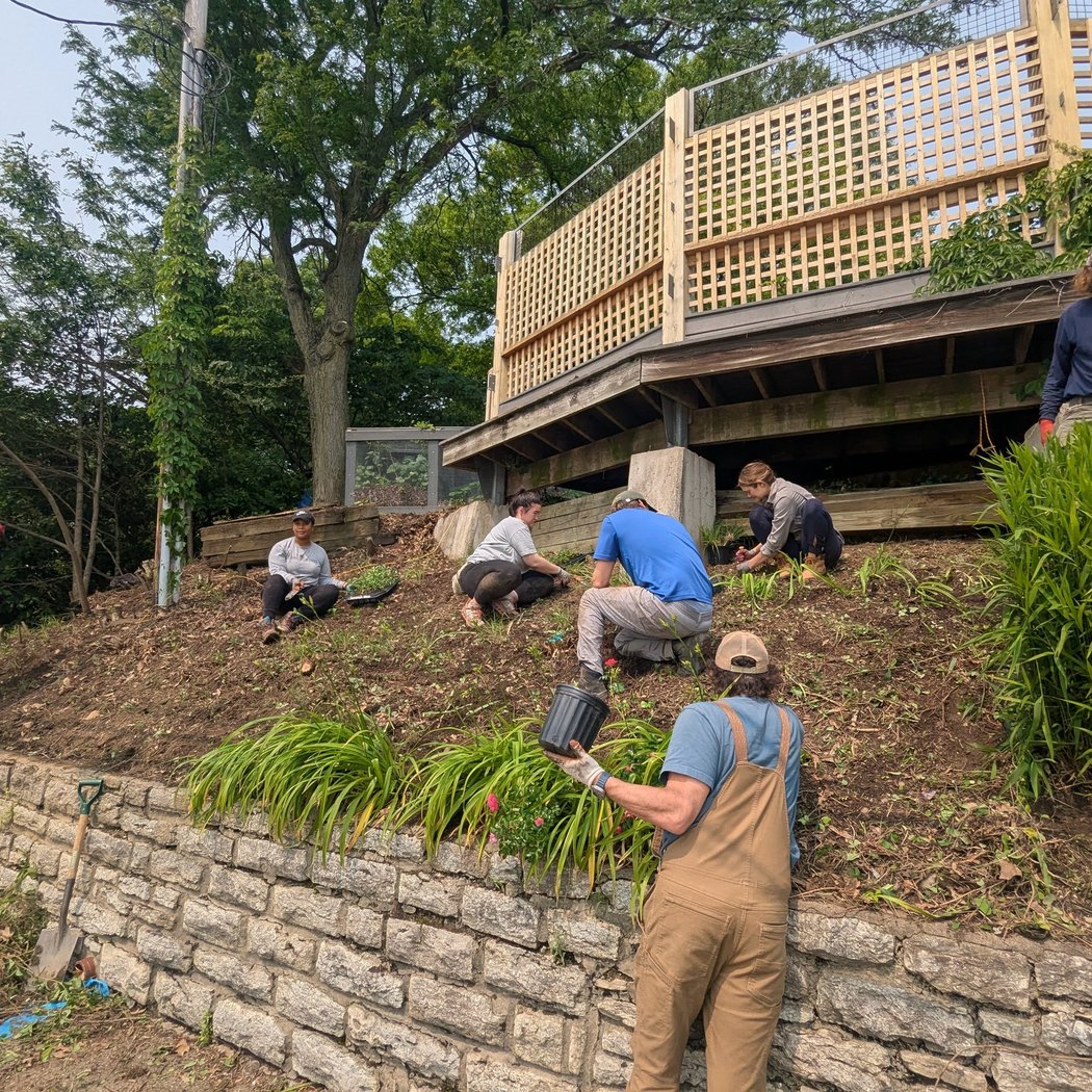 Hauck Veggie Garden Workday 3