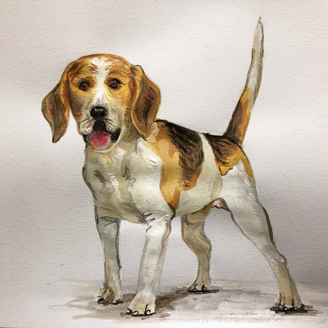Spring Semester art classes 2