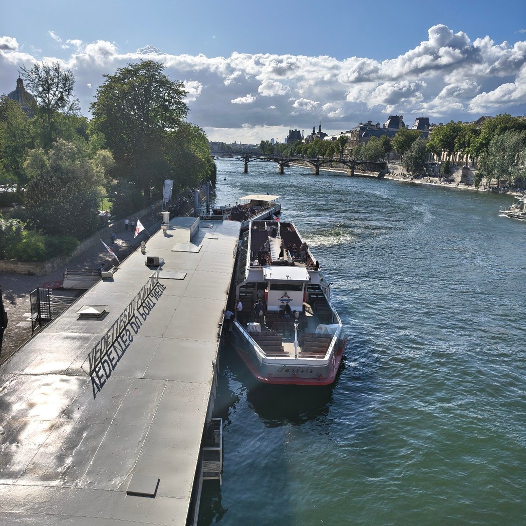 Swimming in the Seine 4