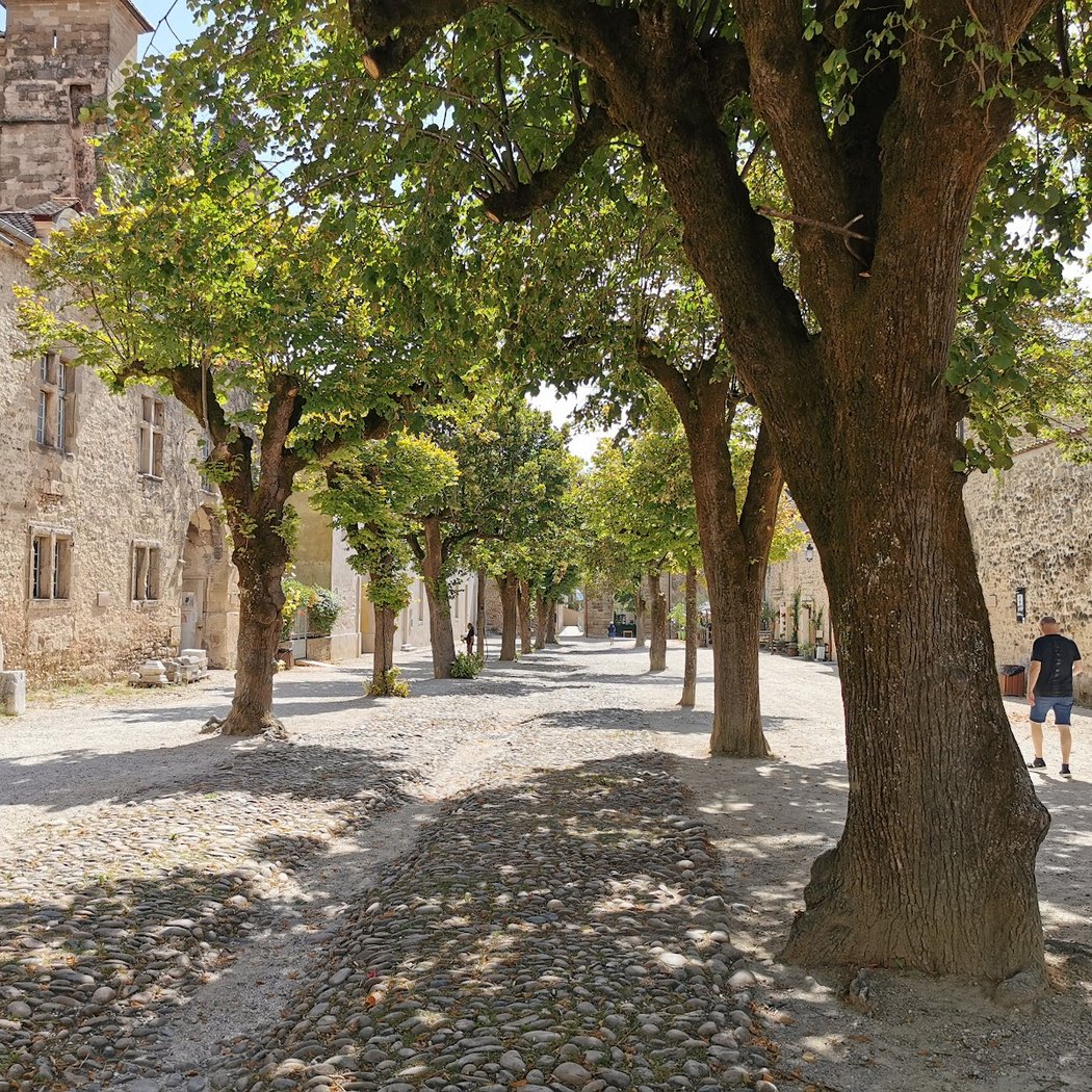 Médiéval Garden 3