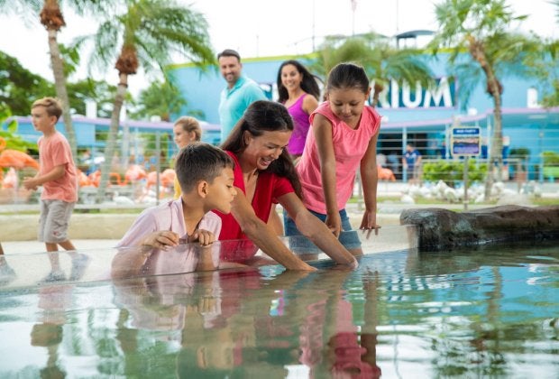 Miami Seaquarium 2
