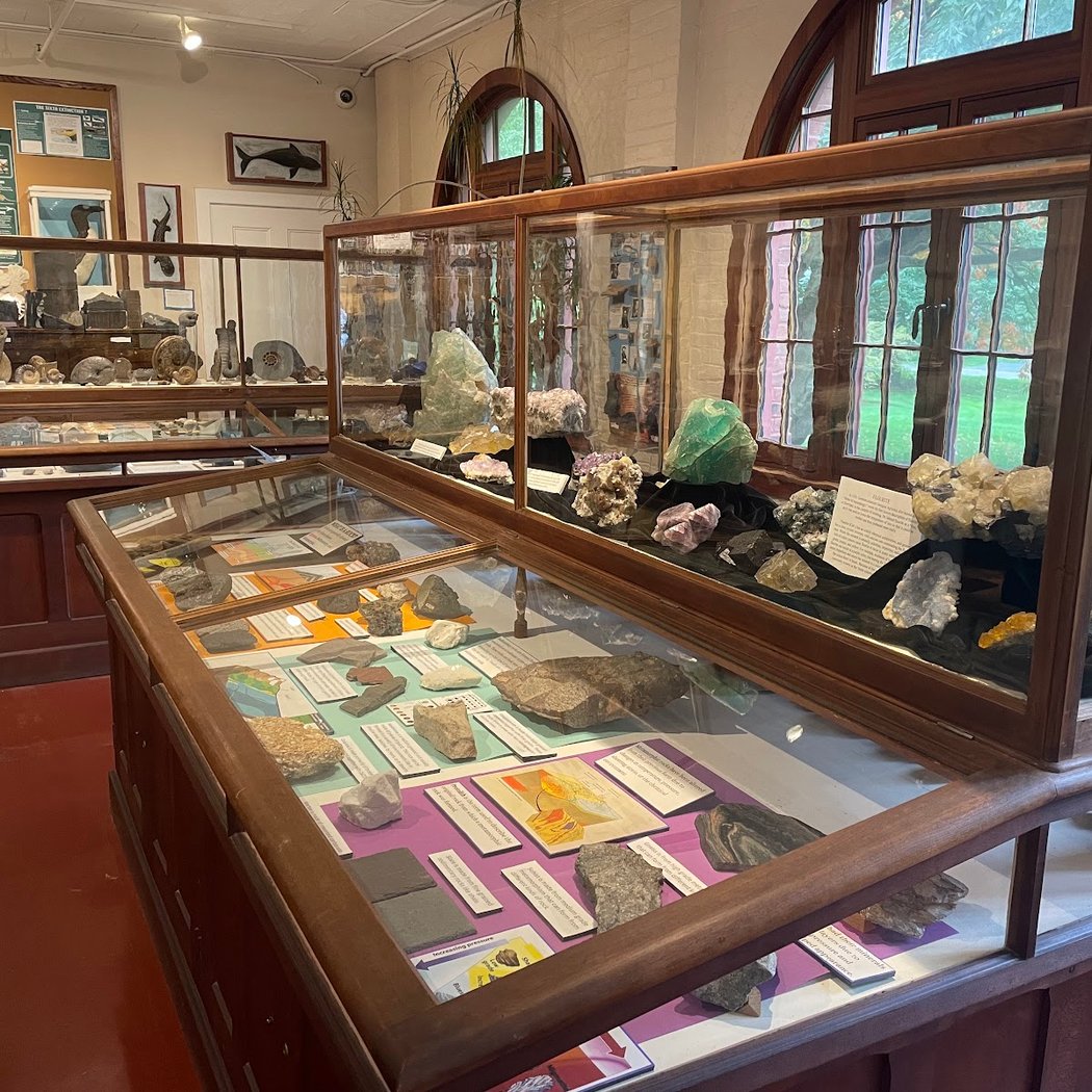 A. Scott Warthin Jr. Museum of Geology and Natural History 1
