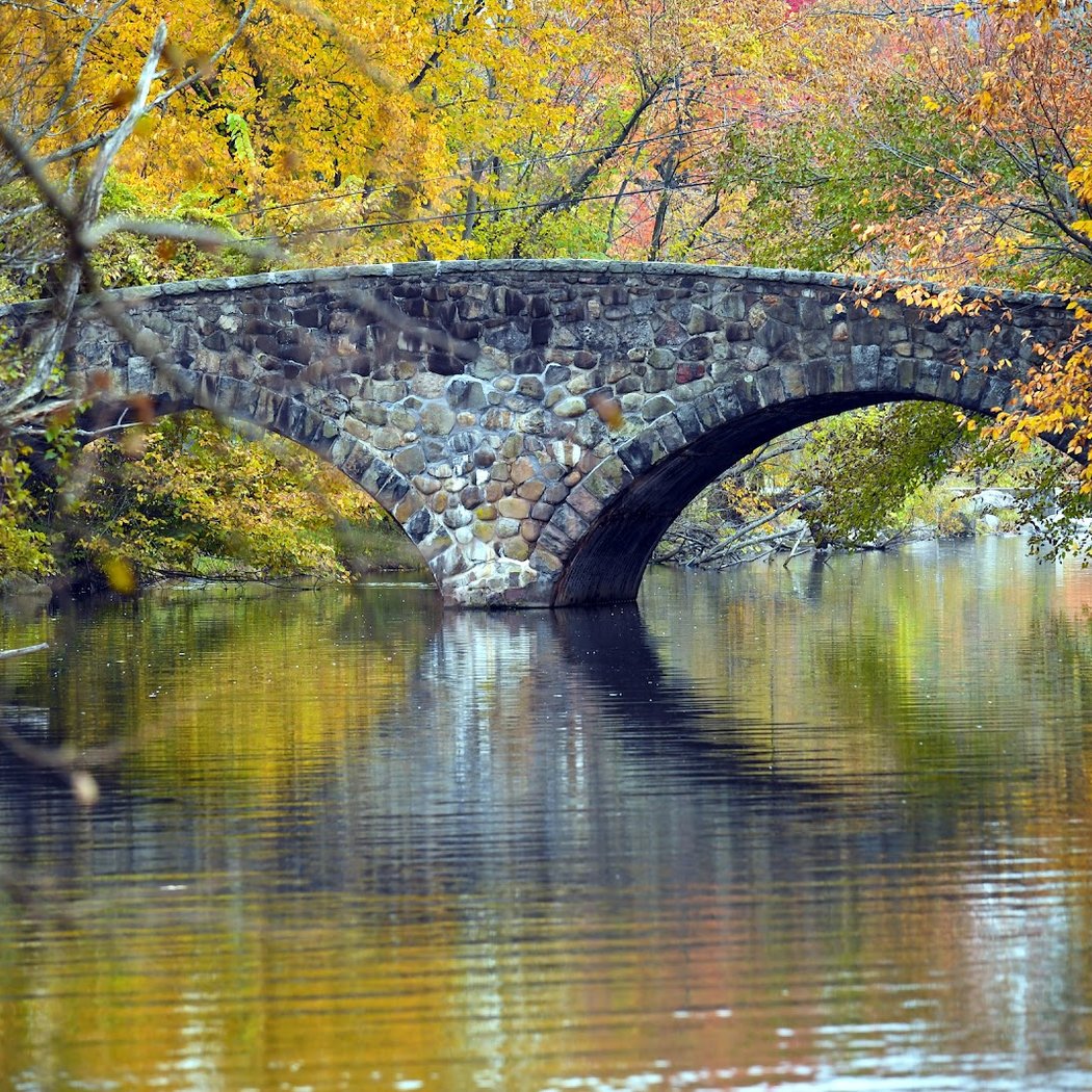 Clove Lakes Park 1