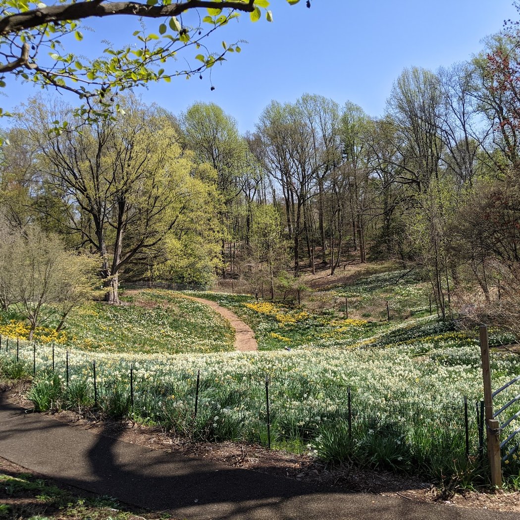 Reeves-Reed Arboretum 3