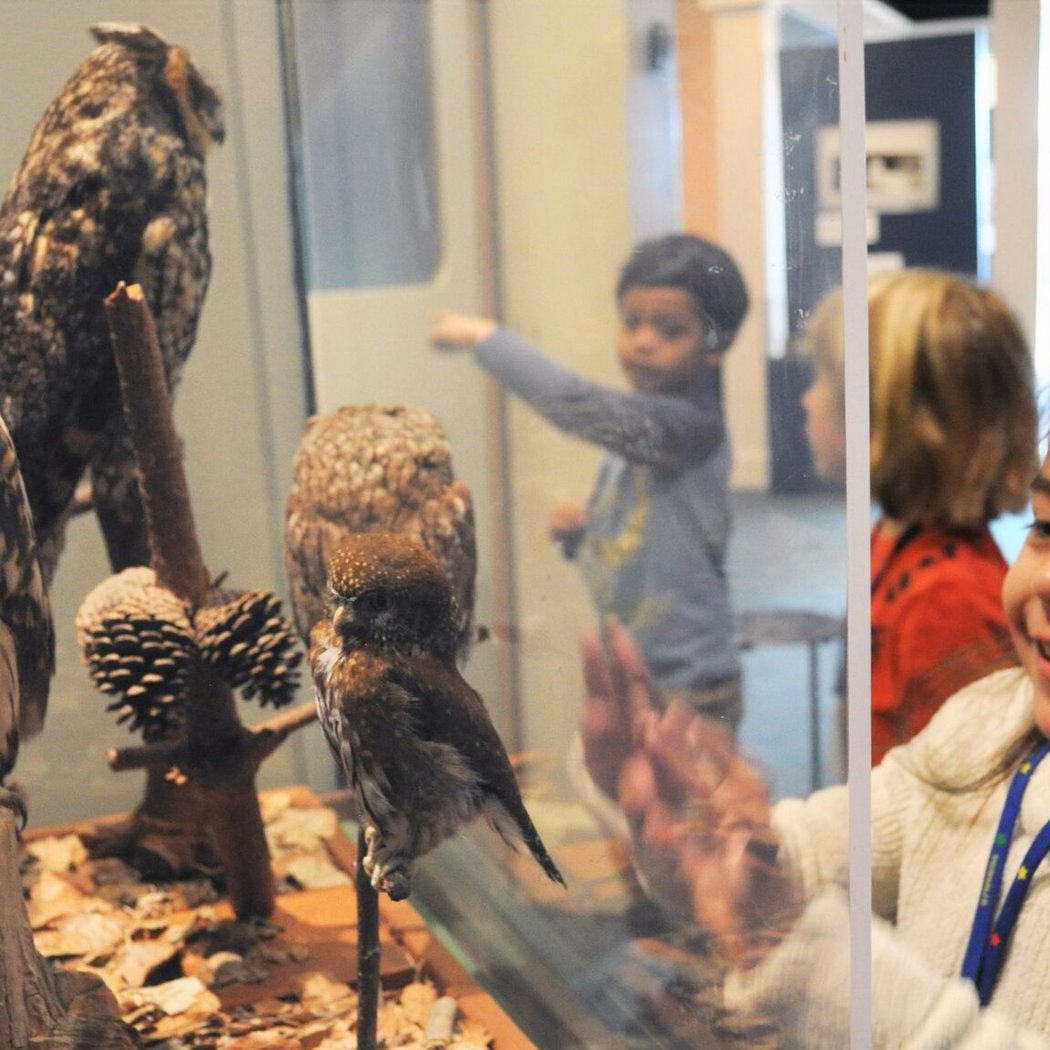 Santa Cruz Museum of Natural History 4