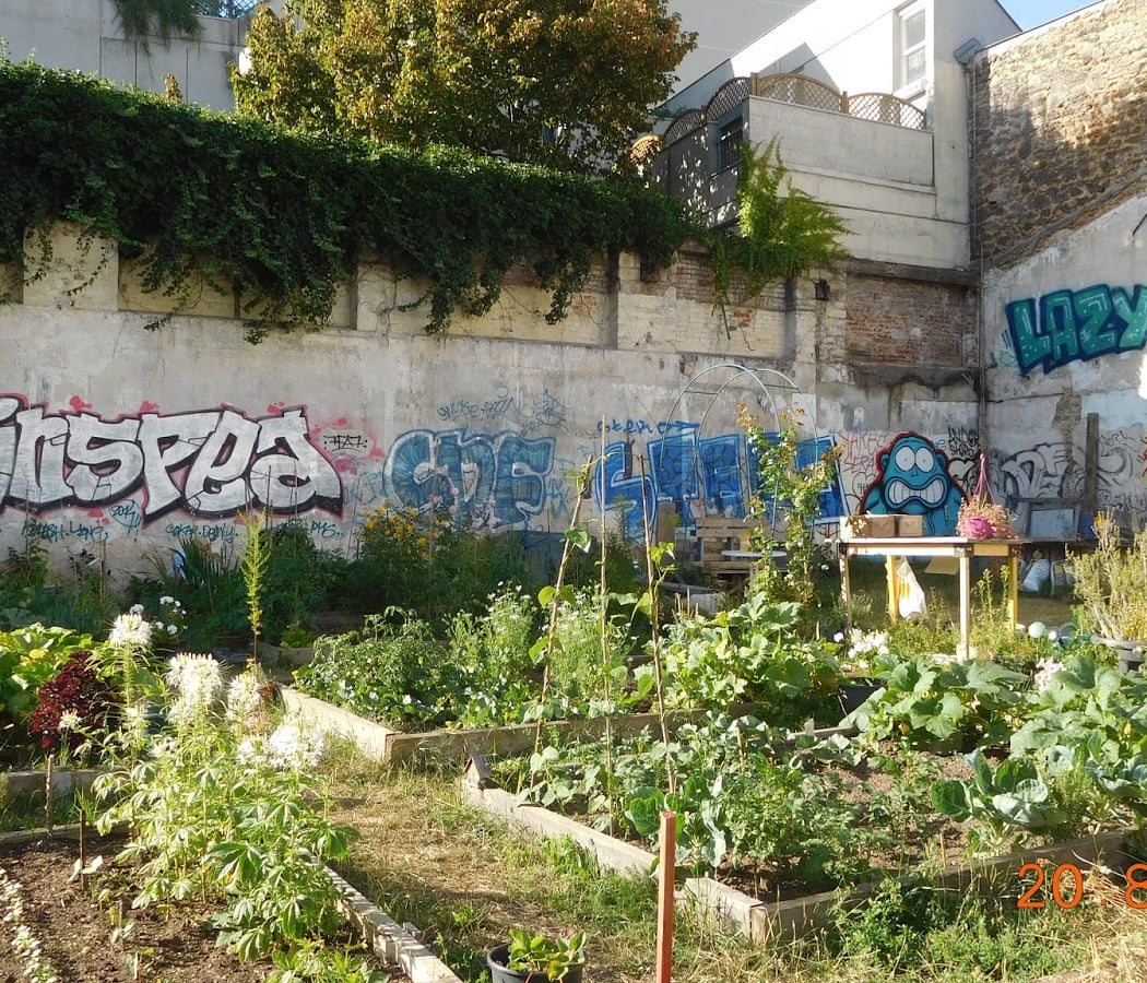 Jardins Solidaire d'Ivraie 2