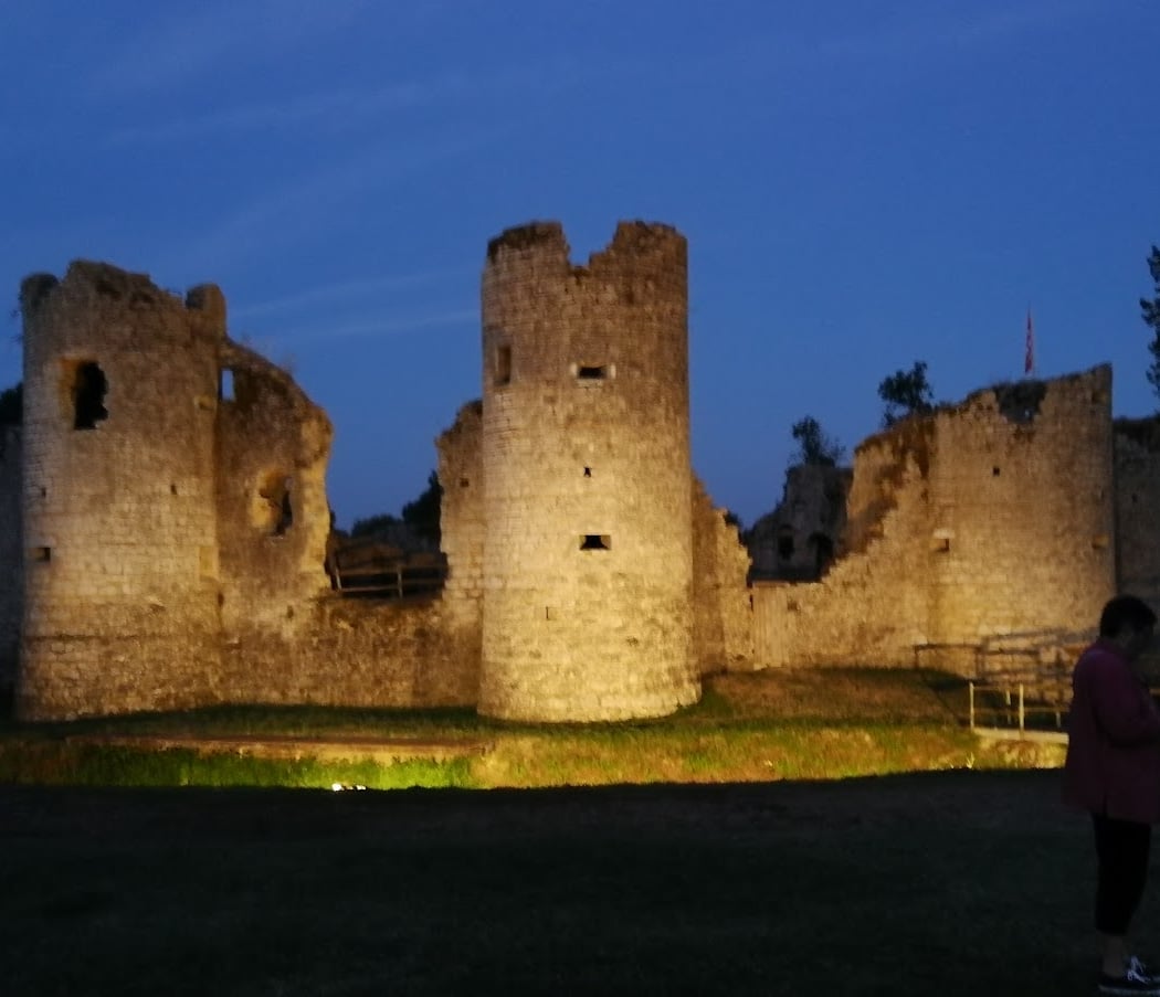 Château de Commequiers 2