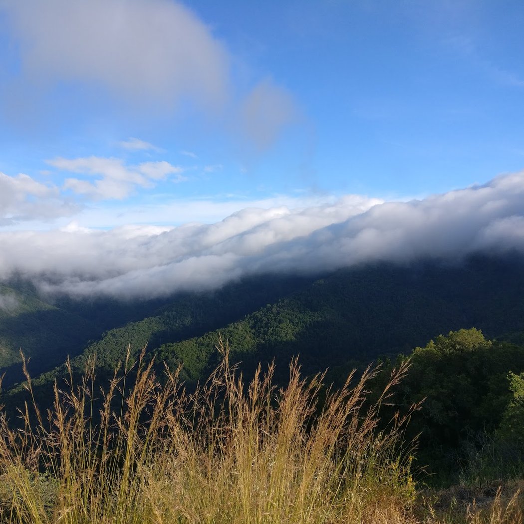 Sierra Azul Open Space Preserve 1