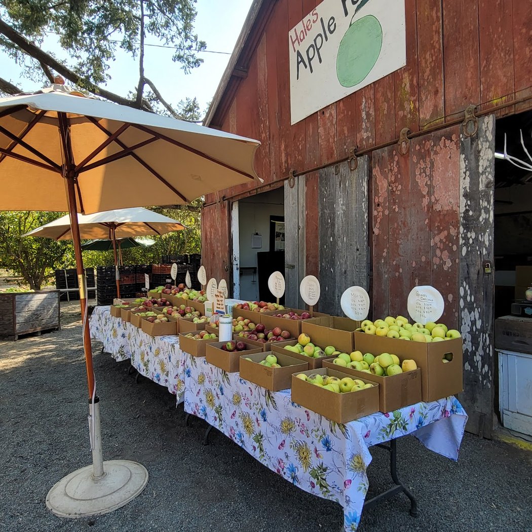 Hales Apple Farm 3