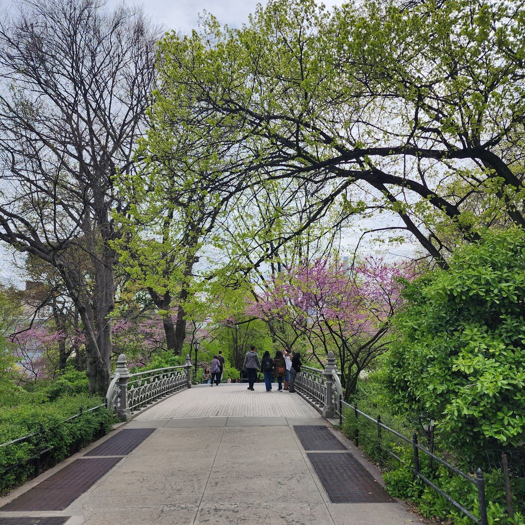 Jacqueline Kennedy Onassis Reservoir 4