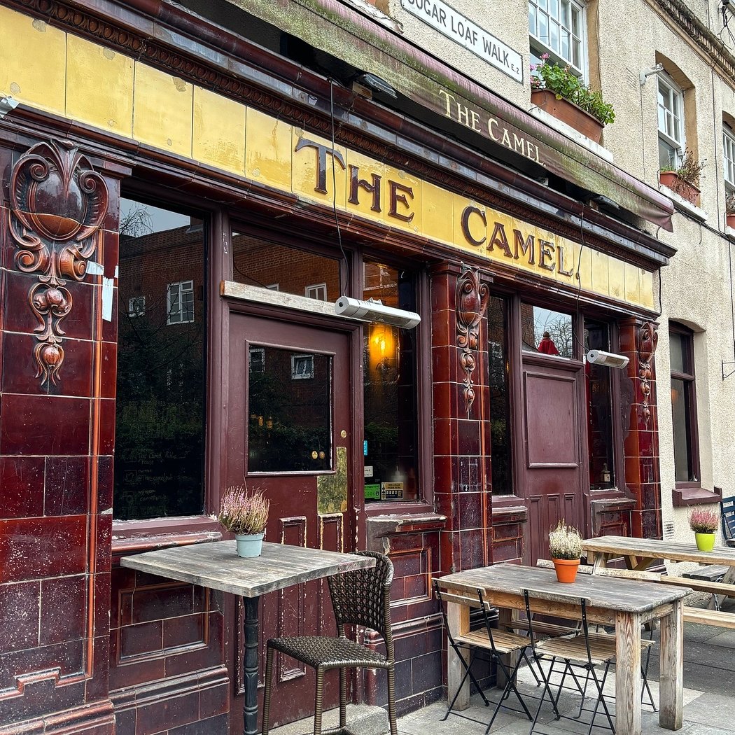 The Camel 3