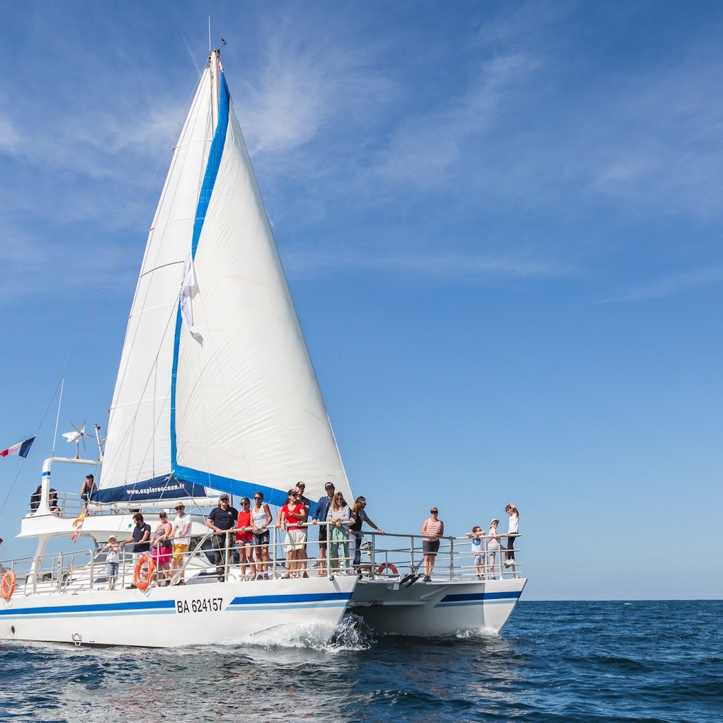 Explore Océan 🐬 - Catamaran Atalaya 2