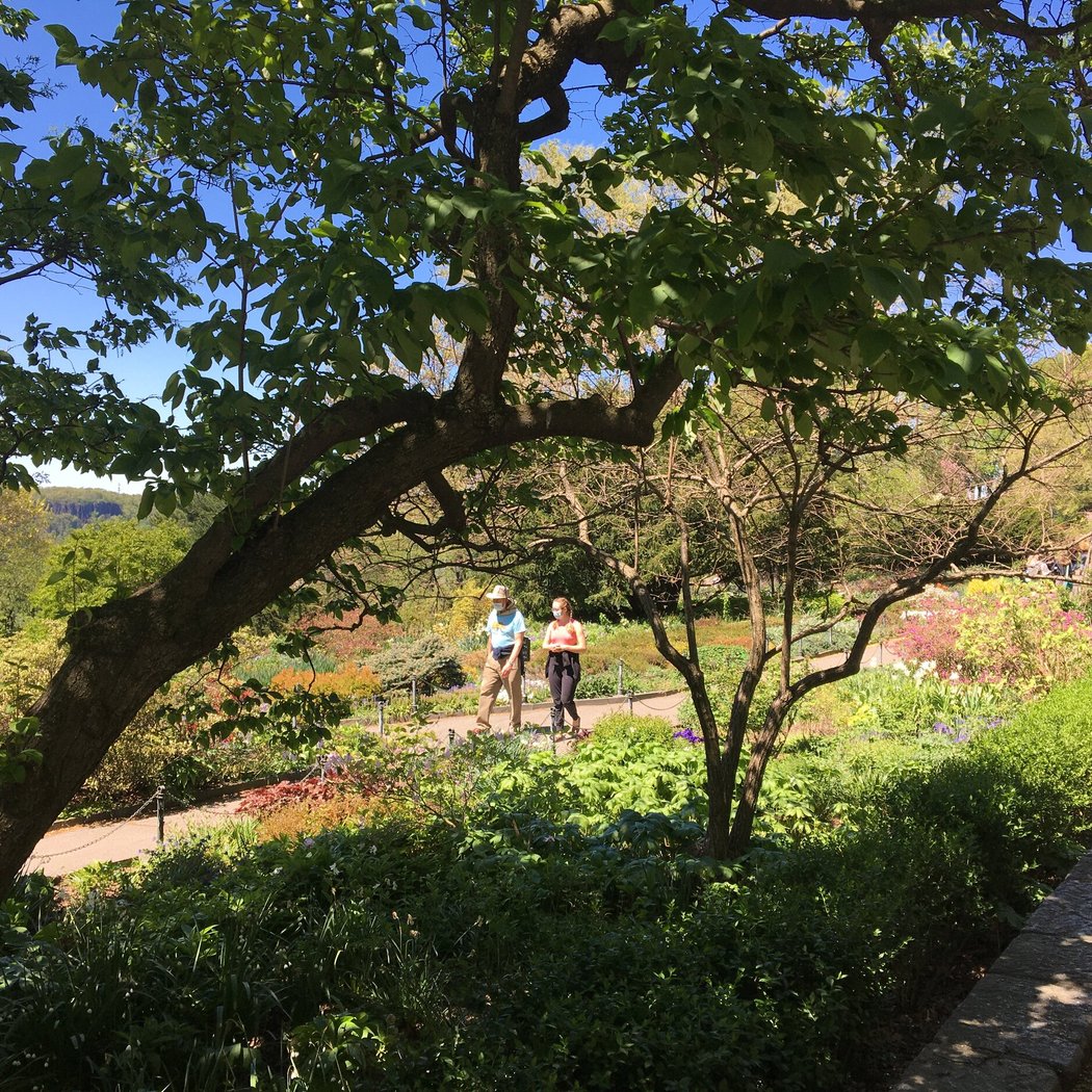 Fort Tryon Park 2