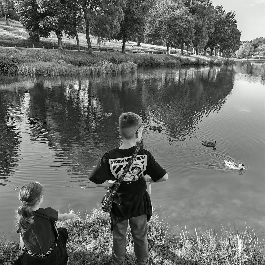 Plan d'eau des Prades 3