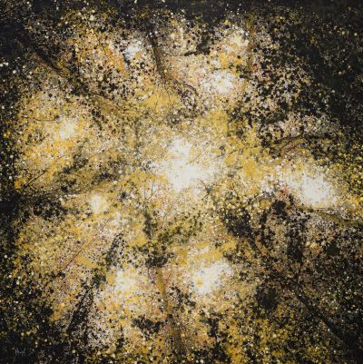 SOLO SHOW Pierre-Luc Poujol 1
