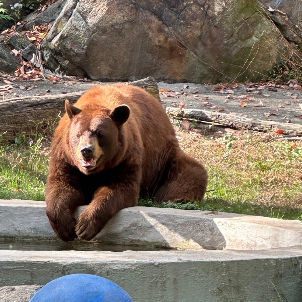 Trailside Museums & Zoo 1