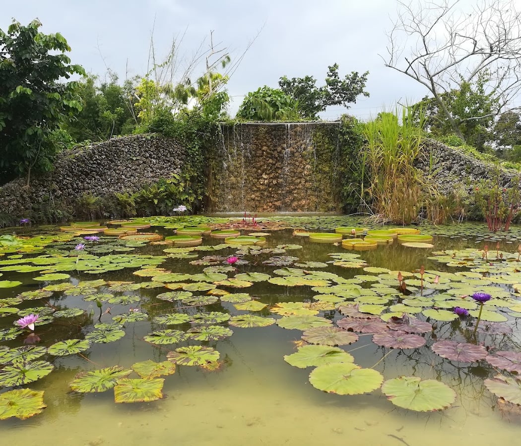 Fruit & Spice Park 1