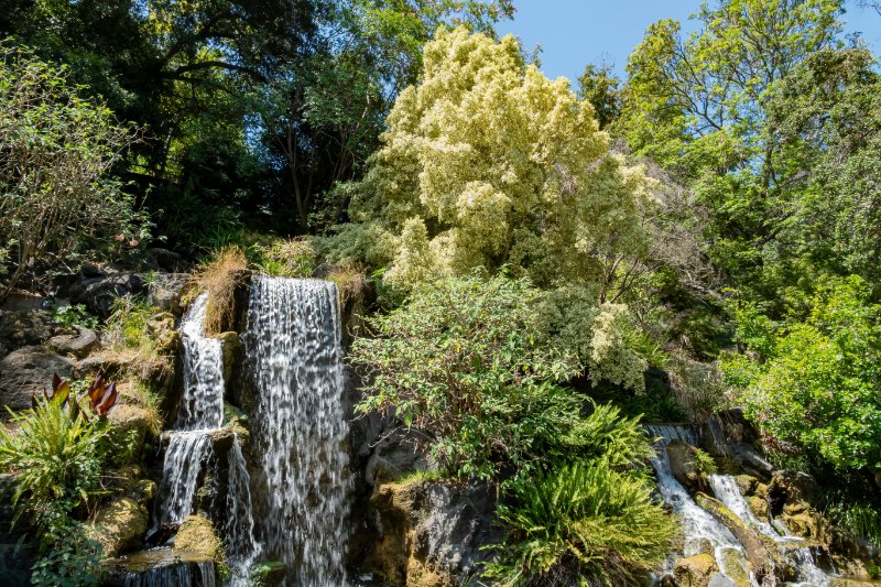 Los Angeles County Arboretum & Botanic Garden 1